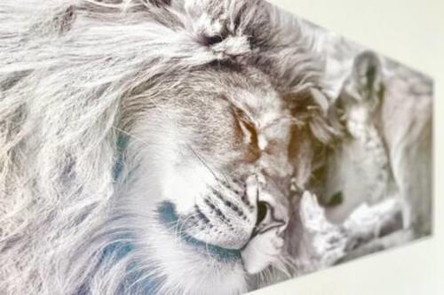 Fotografie z fotogalerie ubytování The White Lion downtown and balcony v destinaci Saint-Nazaire