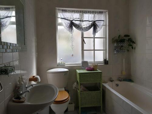 a bathroom with a sink and a toilet and a window at Glen Valley Cottage in Glencairn
