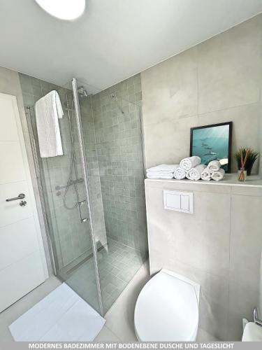a bathroom with a shower and a toilet at Basilisk Homes - in Grenzach-Wyhlen bei Basel - 4 x Moderne Fewos je 1bis2, 1bis4 oder 1bis6 Pers mit Küche und Balkon oder Terrasse - Parkplätze vorhanden in Grenzach-Wyhlen