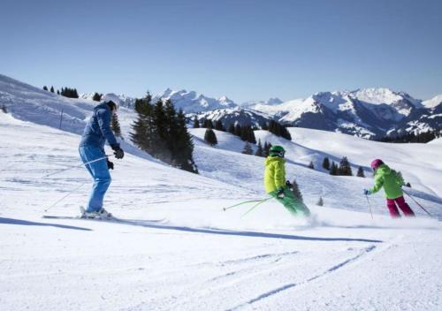 a group of three people skiing down a snow covered slope at Bijou Appartment in Zollikofen