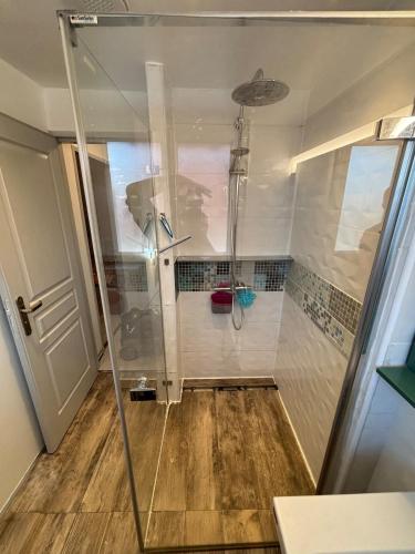 a shower with a glass door in a bathroom at Maison chaleureuse Calme et tranquillité assurés Parking privé in Geispolsheim