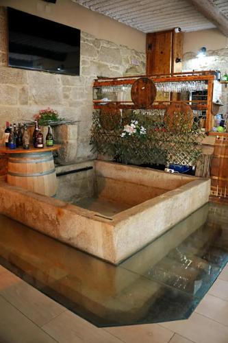 a pool of water in a room with some plants at Hotel Rural O Salazón in Cambados