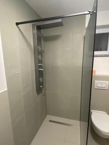 a shower with a glass door next to a toilet at Apartman Turić Vinkovci in Vinkovci