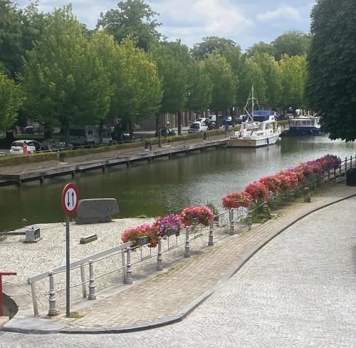 una fila di fiori sulla riva di un fiume di Perle with canal view a Bruges