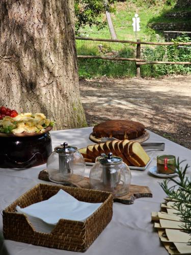 Jídlo v farmy nebo okolí