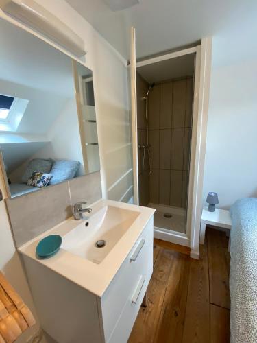a bathroom with a sink and a shower at Duplex quartier calme et parking gratuit in Amiens