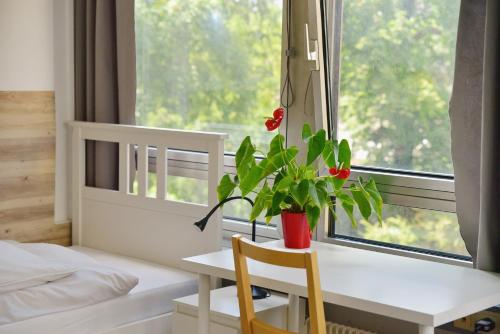 een slaapkamer met een bureau met een plant en een raam bij Sprachcaffe Appartements in Frankfurt am Main