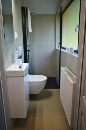 a bathroom with a white toilet and a sink at Cabana Cristi in Vatra Dornei