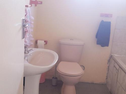 a bathroom with a white toilet and a sink at The Oval House in Otse