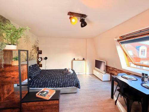 L'escale de Haguenau - Cosy dans le centre Haguenau