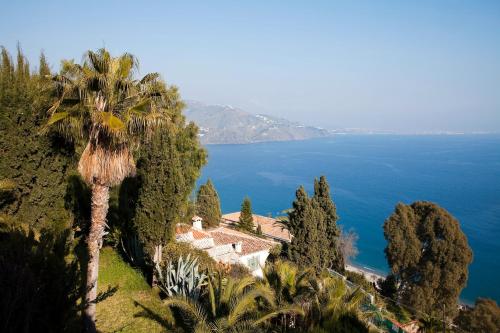 una villa en una colina con una palmera en El Nido, en Almuñécar