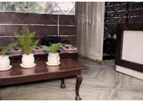 Una sala de estar con tres plantas en macetas sobre una mesa. en Blessing Inn Hotel, en Jalandhar