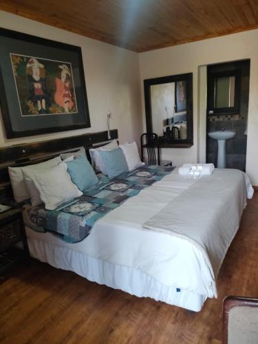 a bedroom with a large white bed with blue pillows at Leopard Tree Guesthouse in Springbok