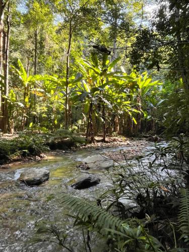 Příroda nedaleko hostelu