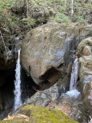 Příroda nedaleko hostelu