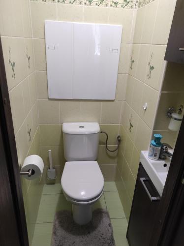 a small bathroom with a toilet and a sink at Moderný apartmán pri lesoparku in Košice