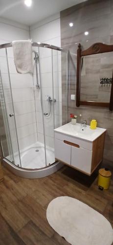 a bathroom with a shower and a sink at Cichy Zaułek 5A in Brodnica