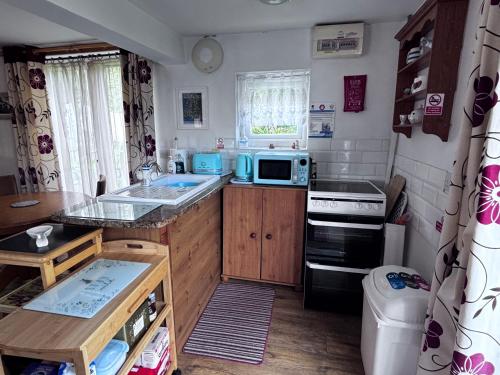 a kitchen with a stove and a microwave at Lake view Romantic retreat in Aberystwyth