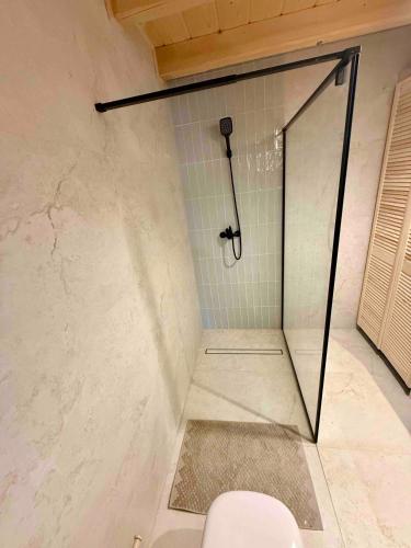 a shower stall in a bathroom with a toilet at Slow Mountains in Wola Piskulina