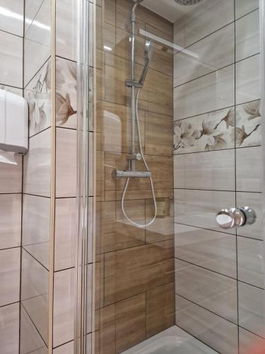 a shower with a glass door in a bathroom at Farm Stay Šolinc in Laško