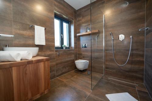 a bathroom with a glass shower and a toilet at Villa Picholine in Jakišnica