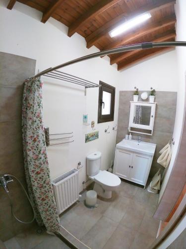 a bathroom with a toilet and a sink at Orama Mountain Villa Farmakas in Nicosia