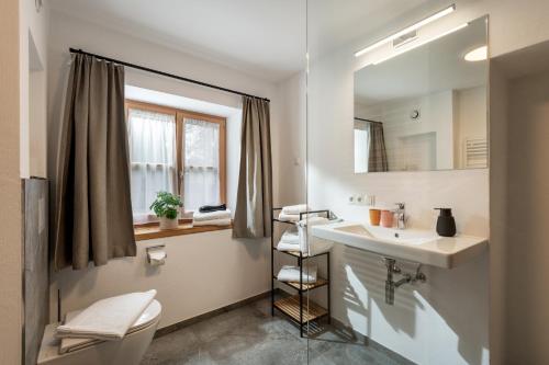 a bathroom with a sink and a toilet and a mirror at Schwaigermühle Apartments in Kirchberg in Tirol