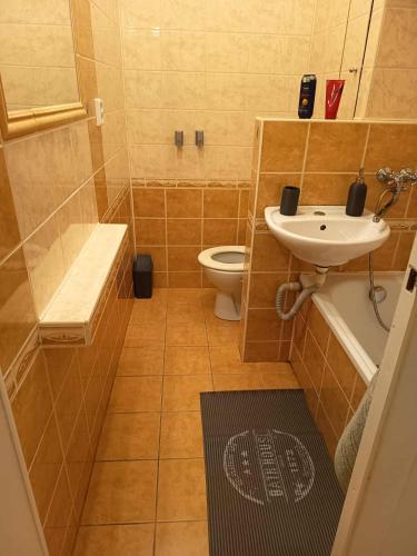 une petite salle de bain avec un lavabo et des toilettes dans l'établissement Byt Ostrava Poruba, à Pustkovec