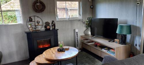 a living room with a fireplace and a television at gastenverblijf Ebbenbroek in Bruchterveld