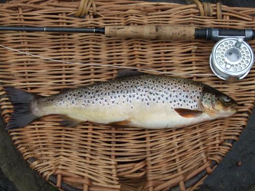 a fish in a wicker basket with a thermometer at Thrumster House in Wick