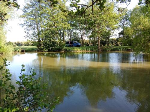 キャンプ場の近くで見られる自然の景観