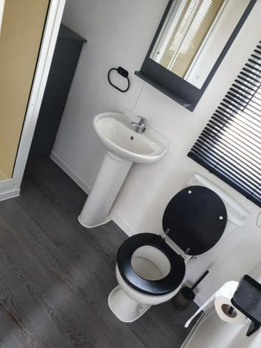 a bathroom with a toilet and a sink at Sea veiw in Kinmel Bay