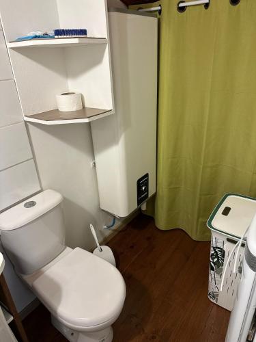a bathroom with a toilet and a green shower curtain at Duplex with spectacular mountain views for 8 in Porté-Puymorens