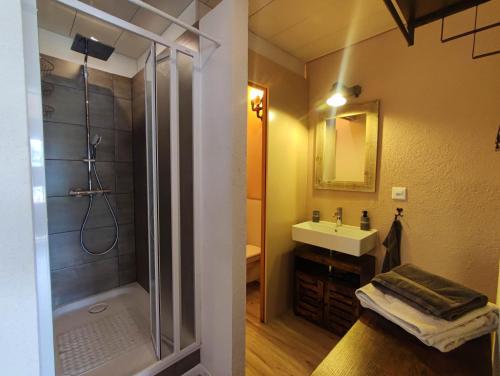 a bathroom with a shower and a sink at Loc Aquatropic appartement de vacances in Bevaix