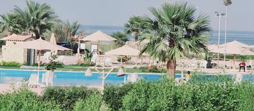 ein Resort mit einem Swimmingpool mit Stühlen und Sonnenschirmen in der Unterkunft cozy apartment , La Sirena Palm Beach ,Ain Sokhna in Ain Suchna
