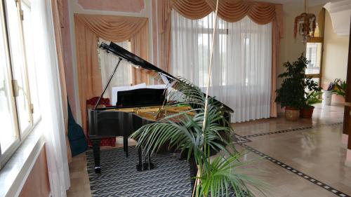 a grand piano in a living room with a plant at Hotel L'Ulivo in Mirabella Eclano