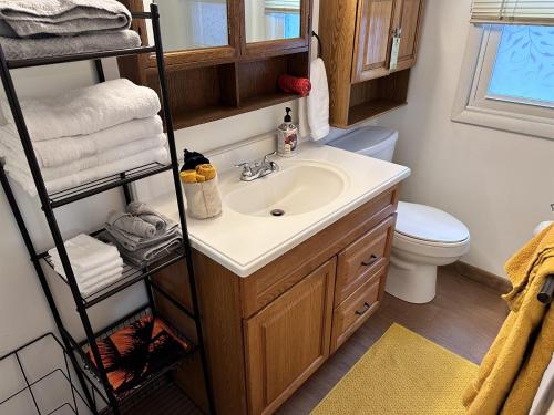 Goods MillにあるThe Perch Riverfront Cabin - Starlink Wi-Fiの洗面台とトイレ付きのバスルーム