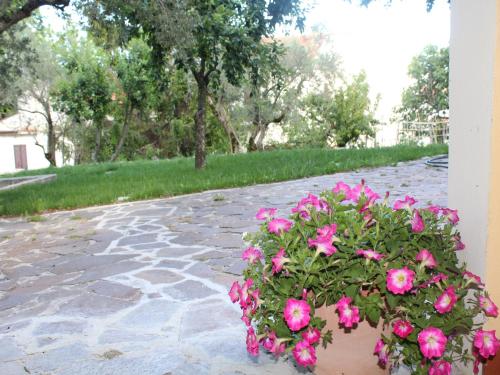 a pot of pink roses sitting on a sidewalk at Villa Augusta in Civitanova del Sannio