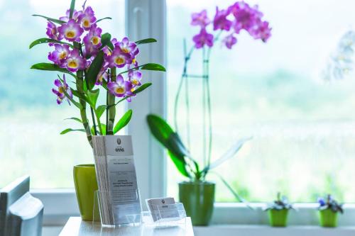 three vases of flowers sitting on a window sill at Hotel Anna Hilden in Hilden