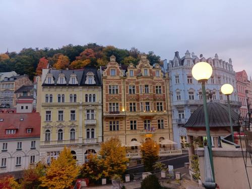 Gallery image of Hotel Ester in Karlovy Vary