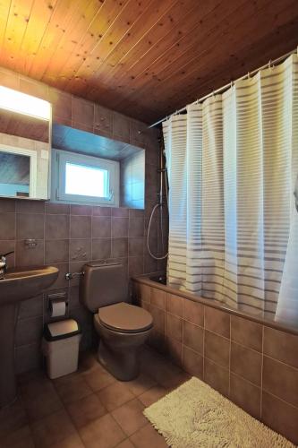 a bathroom with a toilet and a sink at Masseria Ramello in Cadenazzo