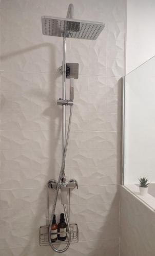 a shower in a bathroom with bottles in it at La Placeta in Vara de Rey