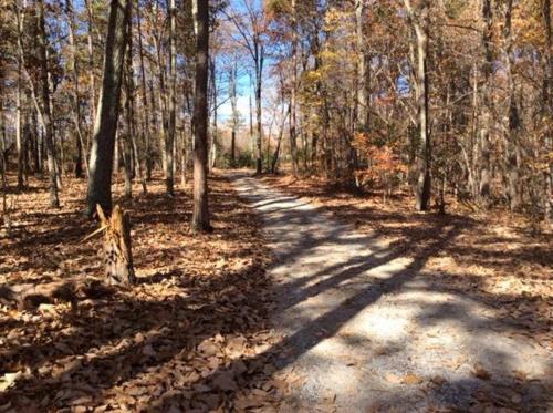 Příroda nedaleko prázdninového domu