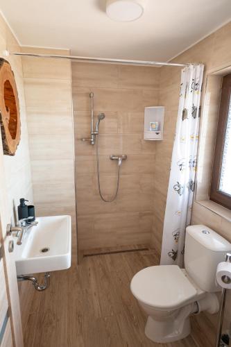 a bathroom with a shower and a toilet and a sink at Sklípek Nechory in Prušánky