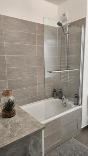a bathroom with a shower and a bath tub at Élégance et charme aux portes de Paris in Saint-Ouen