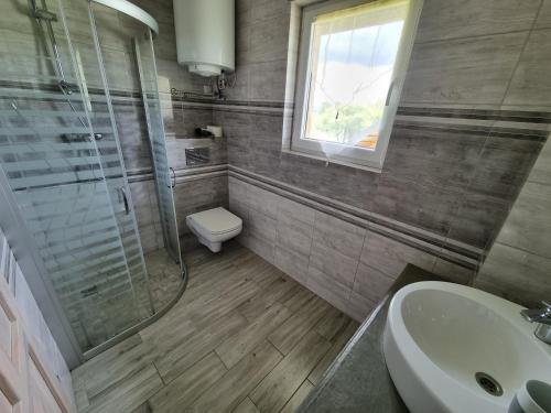 a bathroom with a shower and a toilet and a sink at La Merveille 795-848-628 in Solina