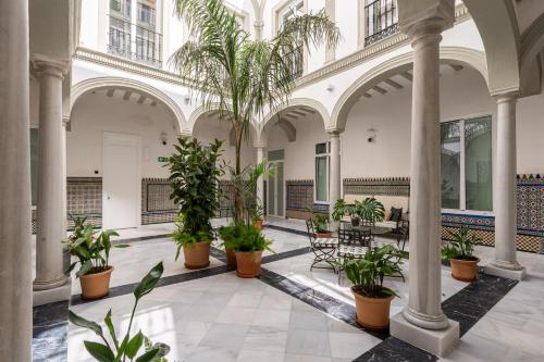 Apartamentos Gravina 31