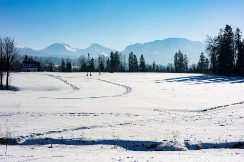 a field covered in snow with mountains in the background at Jagodowa Osada - domki z balią jacuzzi blisko term in Dzianisz