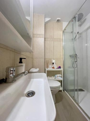 a bathroom with a sink and a toilet and a shower at Dúplex a 20 min de Aigüestortes in Escaló