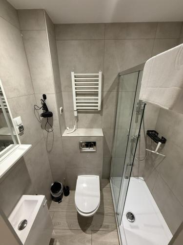 a bathroom with a toilet and a sink and a shower at Sowia Enklawa in Ludwikowice Kłodzkie